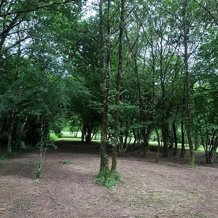 In Dordogne Are Two Charming, Spacious Offering Privacy And Tranquillity For That Perfect Get Away בית נופש